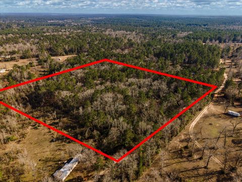 Vacant Land For Sale - 462 County Road 1172<br/> Houston County, Kennard, TX 75847