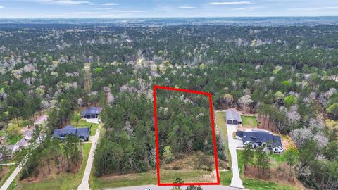 10752 Ruger Road Willis TX 77378