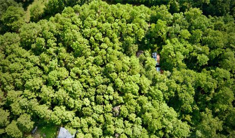 Lot 10 Walnut Grove Drive Magnolia TX 77355