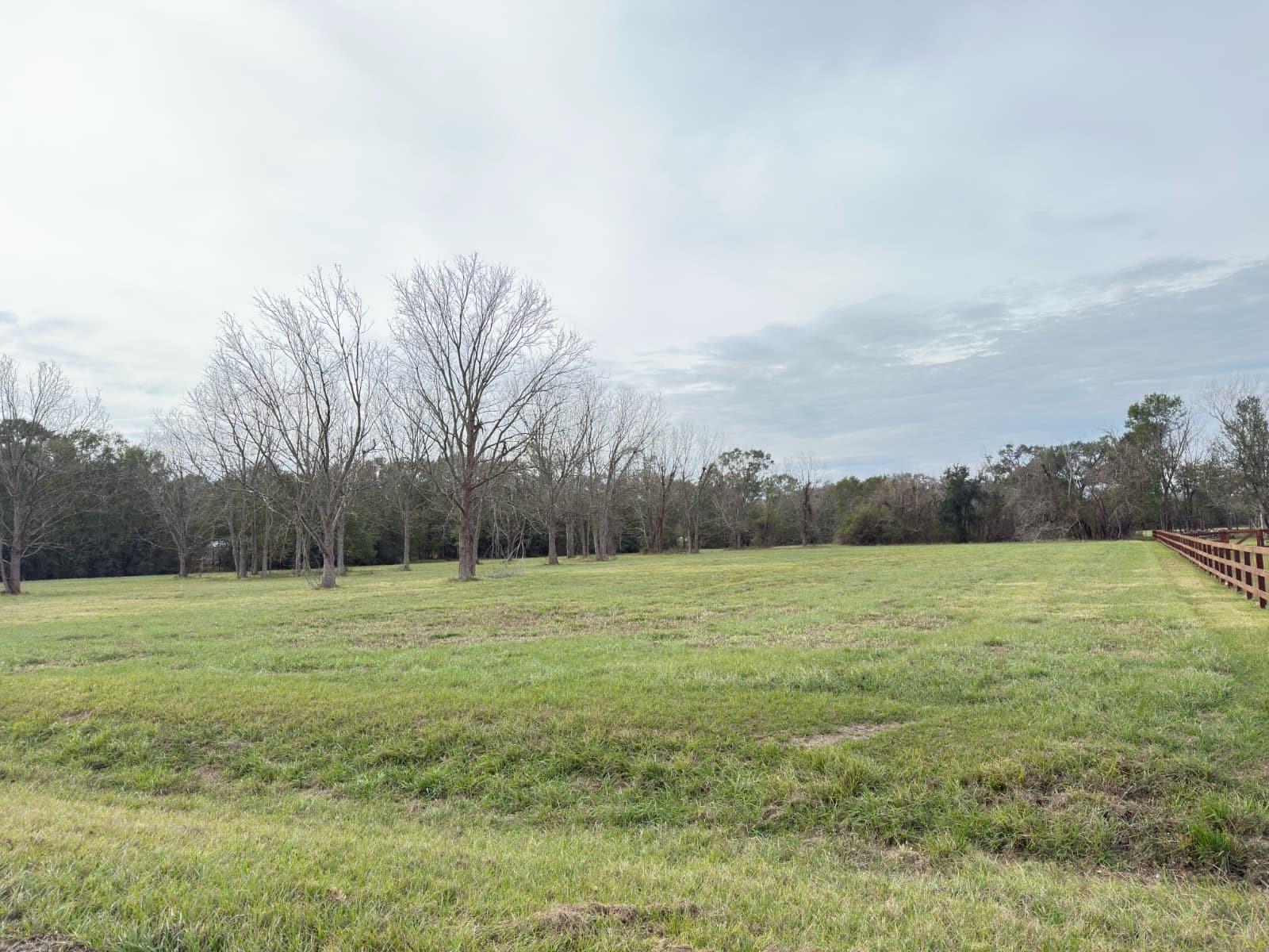 16834 Wrangler Road