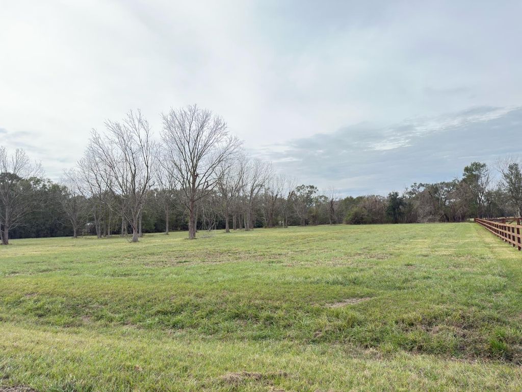 Photo of 16834 Wrangler Road, Rosharon, TX 77583 (MLS # 61258786)