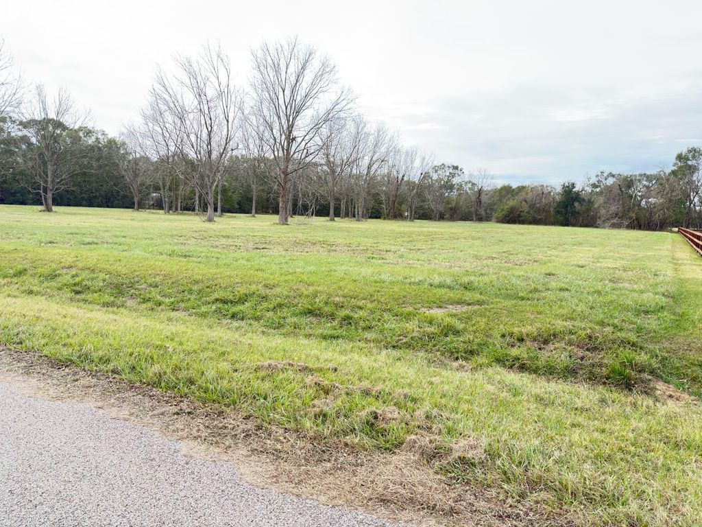 Photo of 16834 Wrangler Road, Rosharon, TX 77583 (MLS # 61258786)