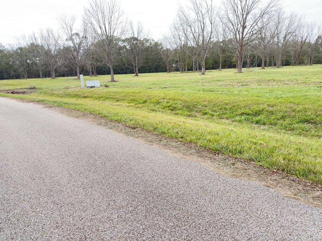 Photo of 16834 Wrangler Road, Rosharon, TX 77583 (MLS # 61258786)