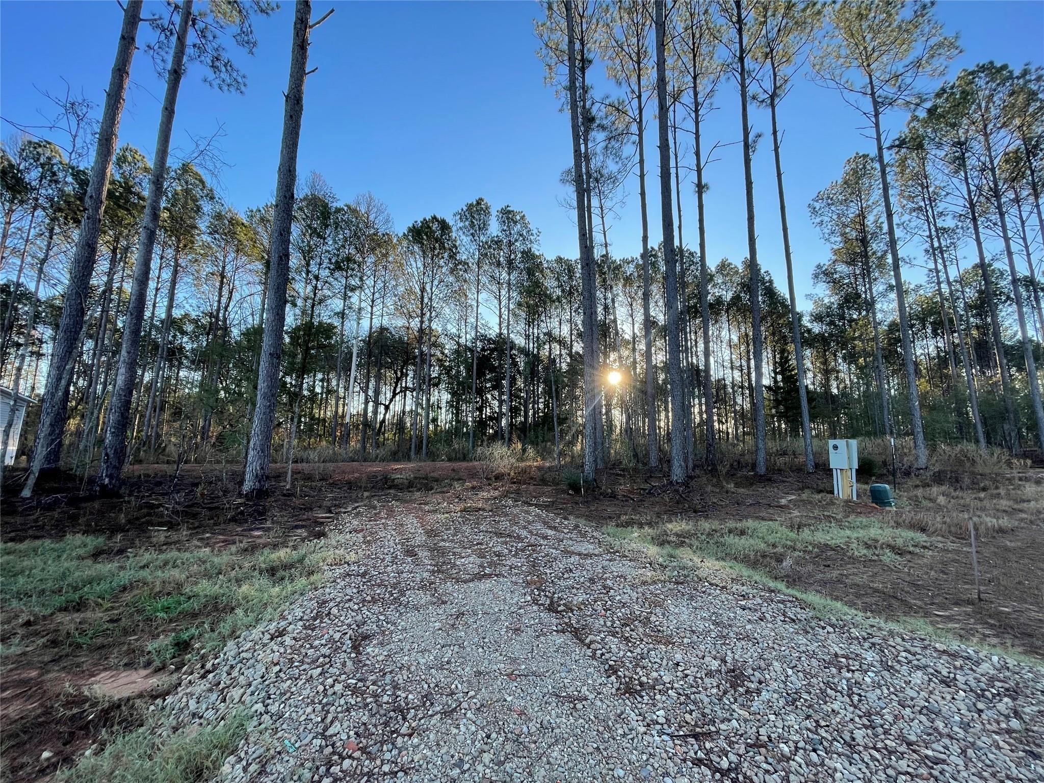 11362 Annie Creek Drive