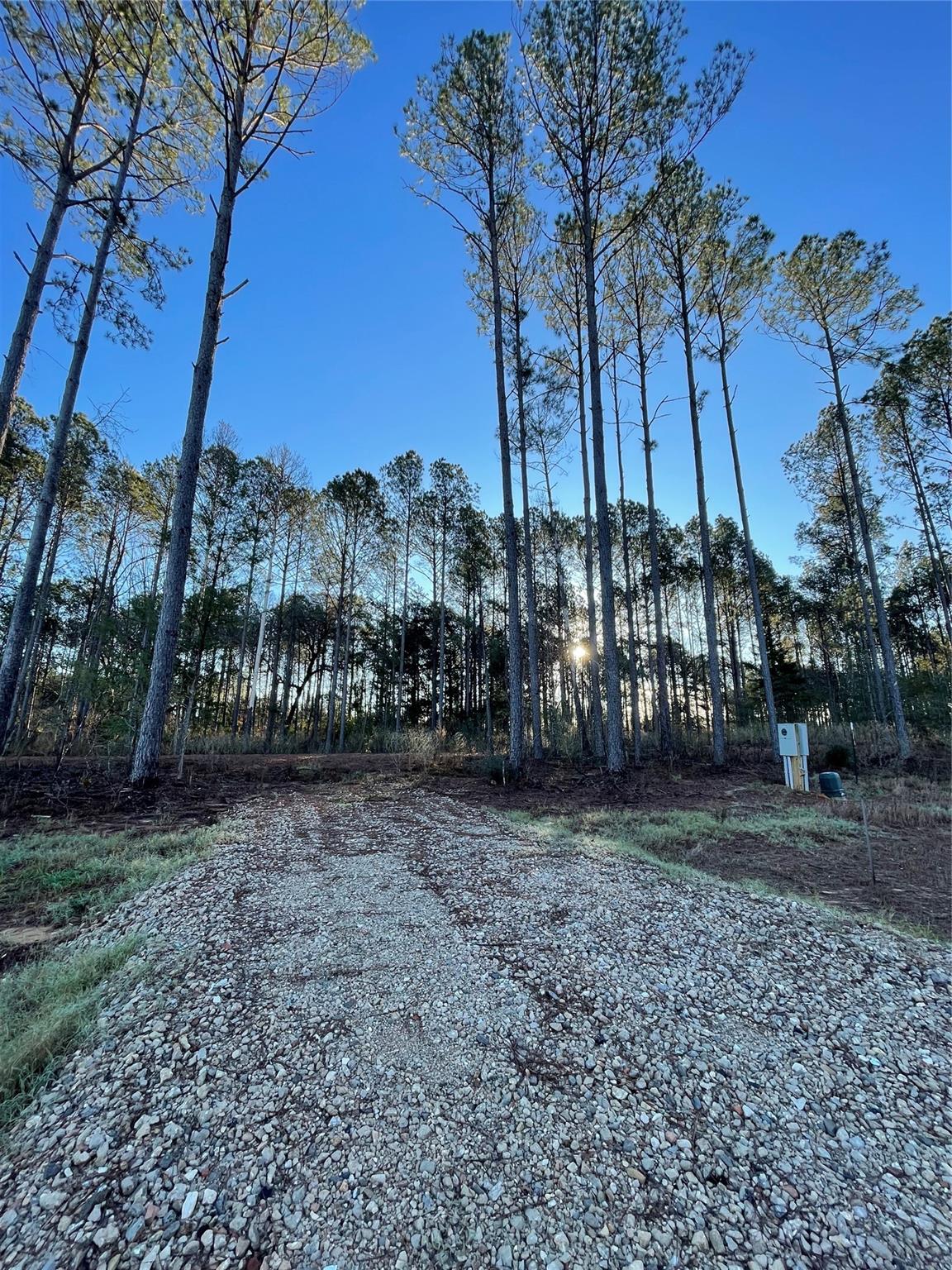 11362 Annie Creek Drive