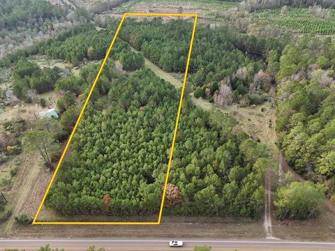 Vacant Land For Sale - LOT 2 E Fm 942<br/> Livingston, TX 77351