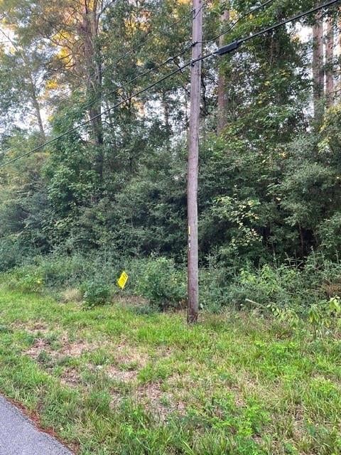 Photo of 51 Pecan Dr, Montgomery, TX 77356 (MLS # 13740643)