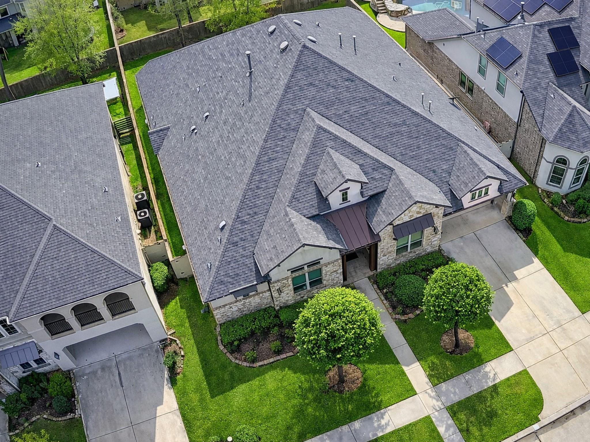 10407 Roseate Skimmer