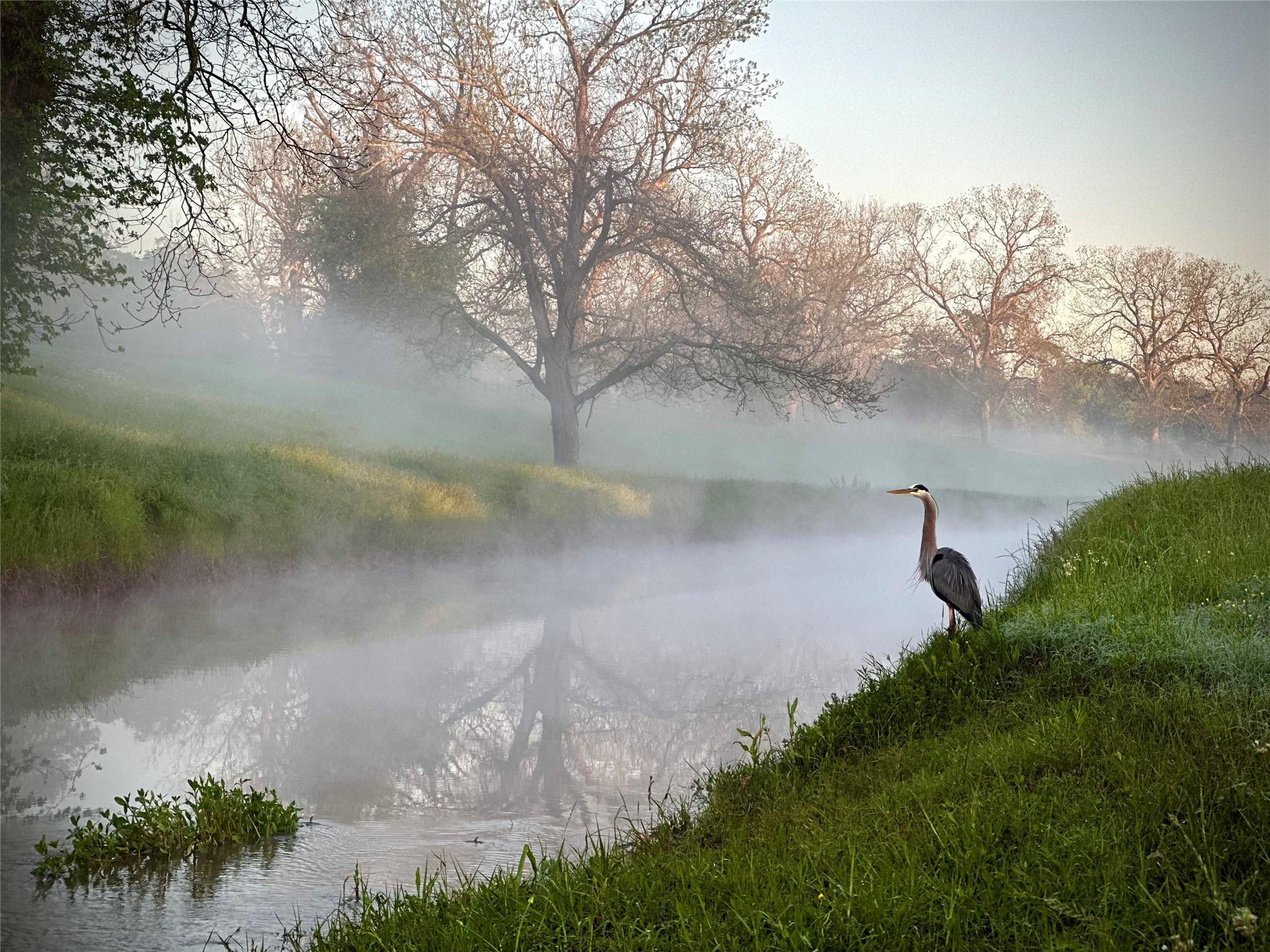 31119 Riverlake Road