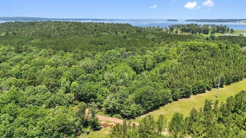 Photo of TBD Hickman Road, Burkeville, TX 75932 (MLS # 15718513)