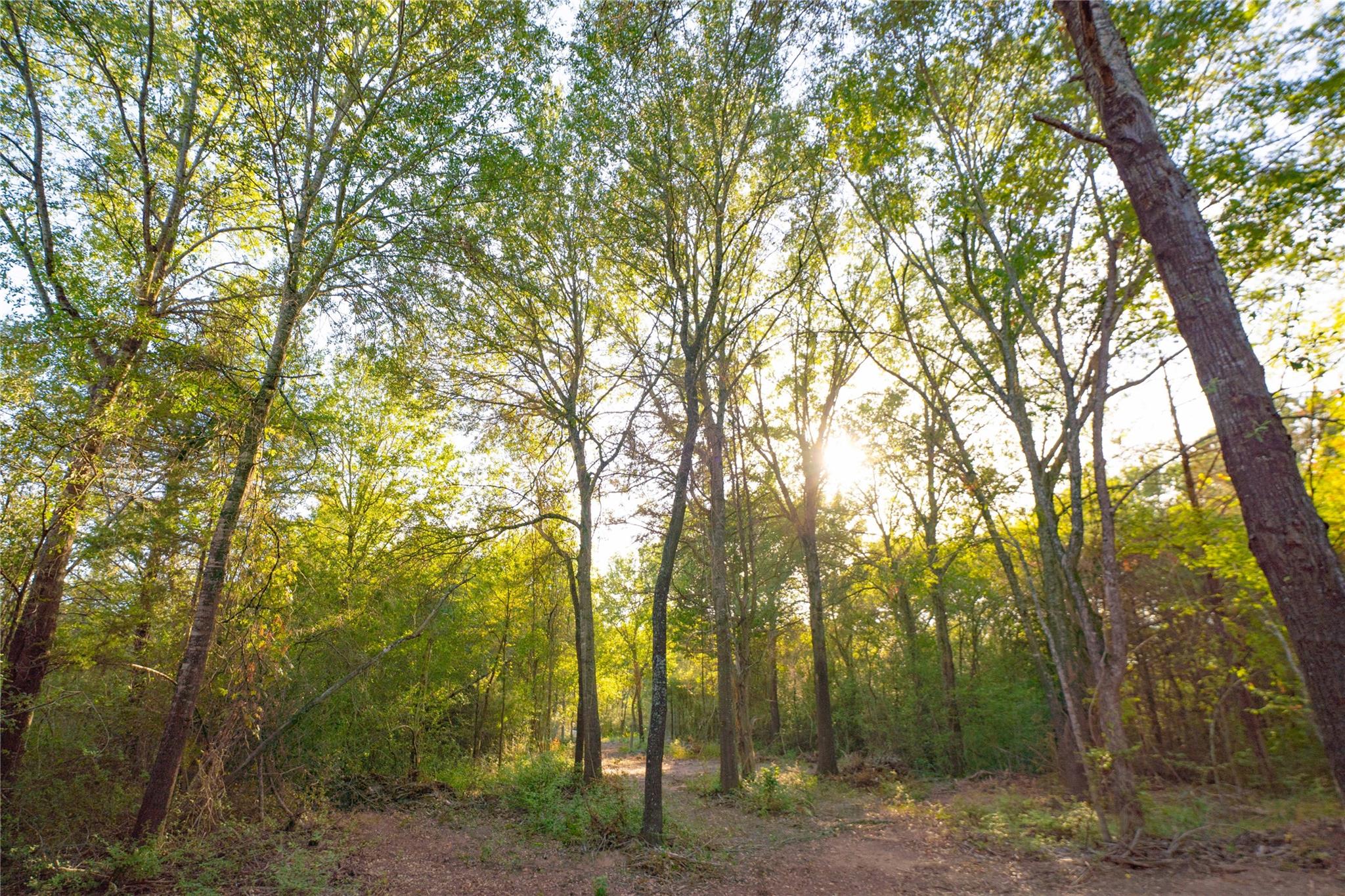 12424 Red Hill Rd Road