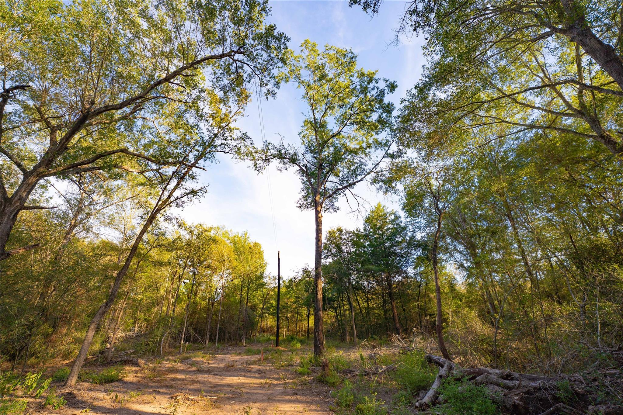 12424 Red Hill Rd Road