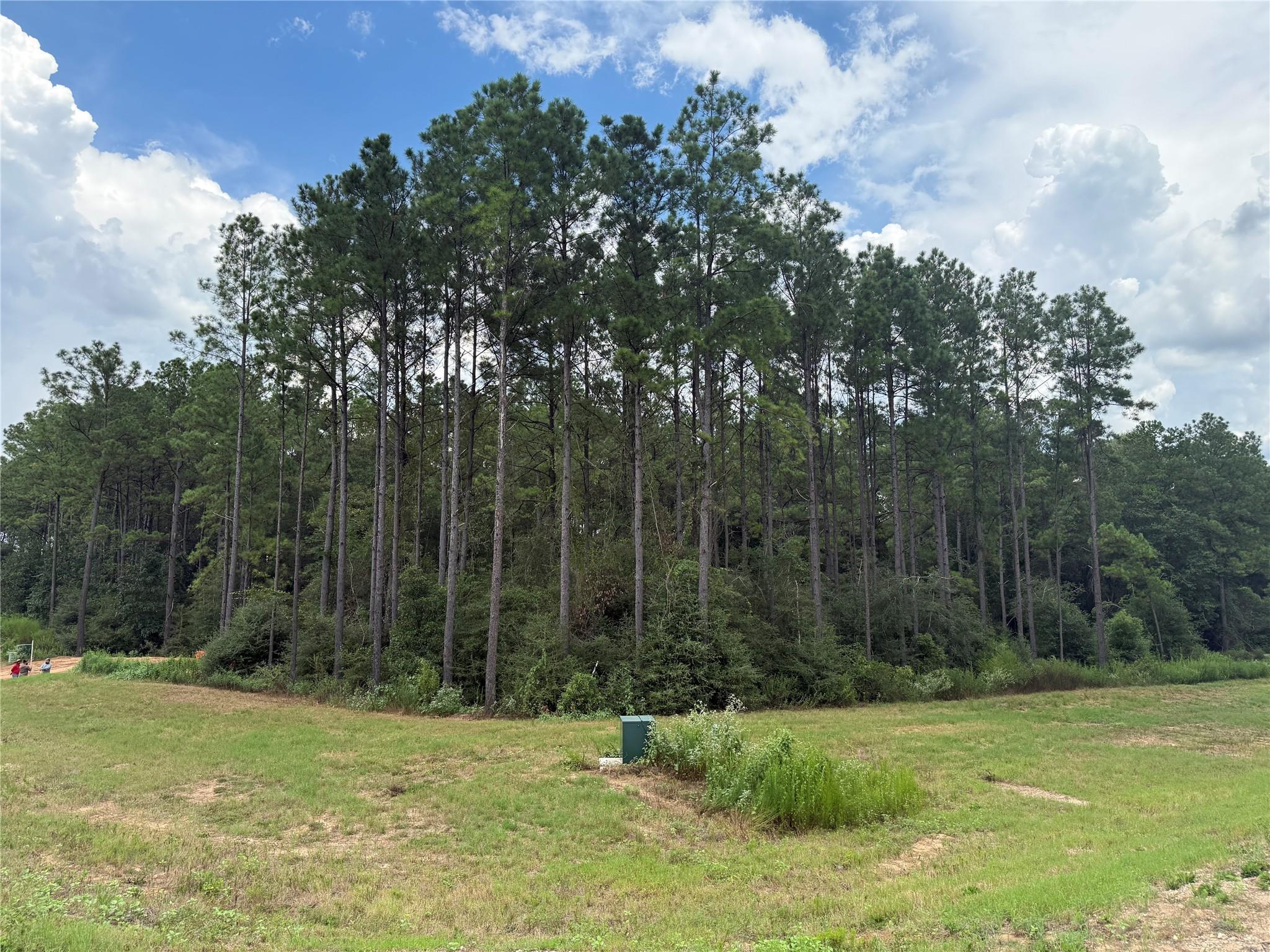 15648 Cricket Creek Court
