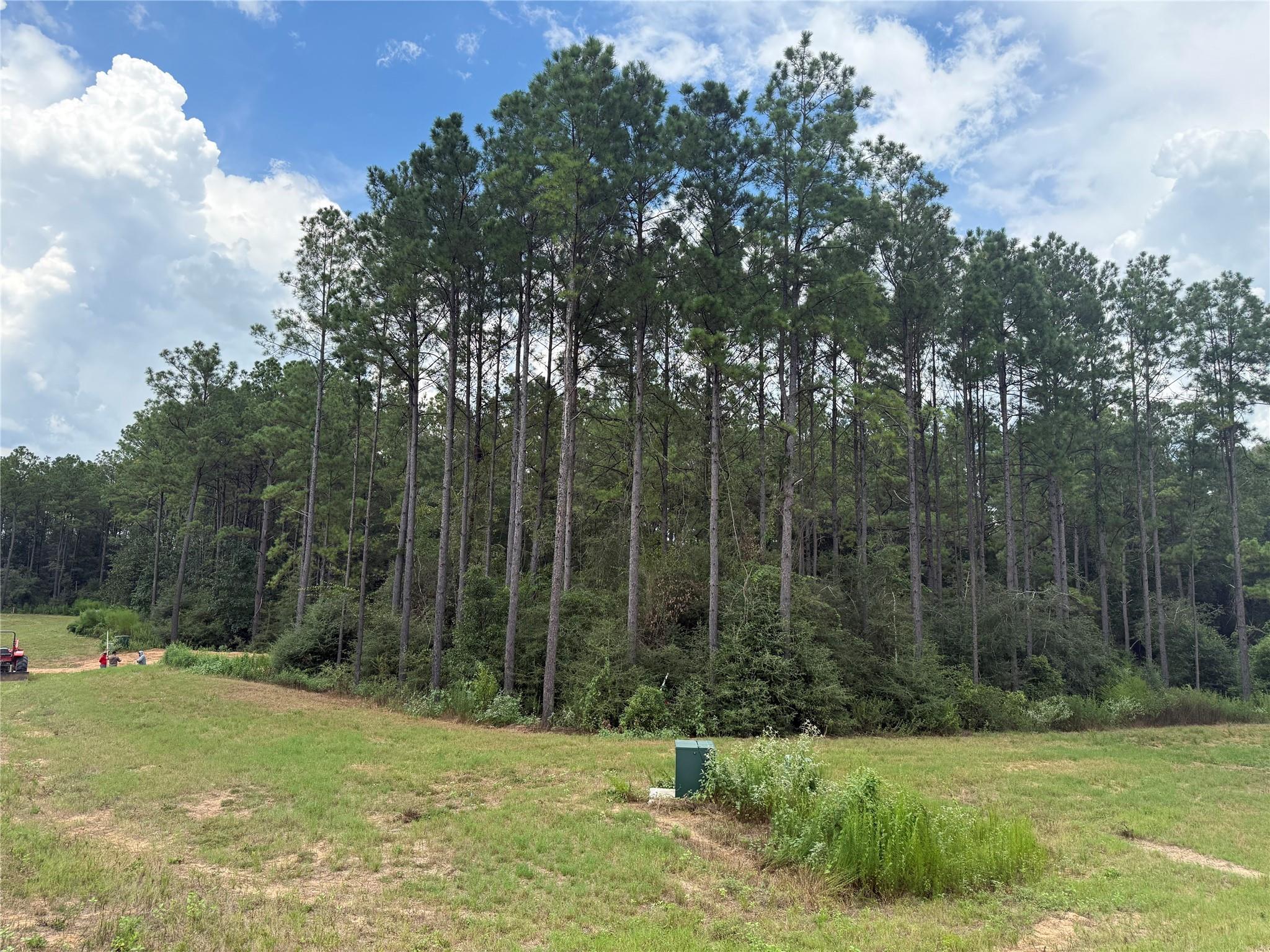 15648 Cricket Creek Court