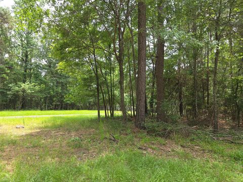 Photo of TBD Loper Lake Drive, Livingston, TX 77351 (MLS # 98272213)