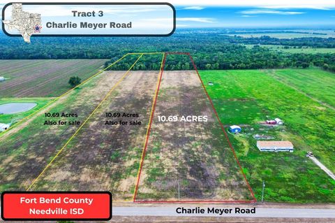 Photo of 3 Charlie Meyer Road, Damon, TX 77430 (MLS # 38776844)
