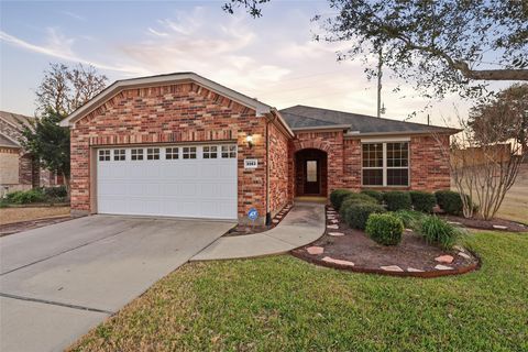 Homes For Sale - 3263 Persimmon Grove<br/> Richmond, TX 77469