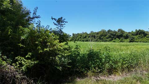 Vacant Land For Sale - TBD County Road 748 Nar<br/> Rosharon, TX 77583