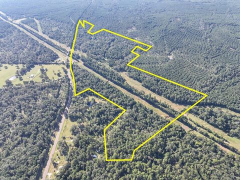 Vacant Land For Sale - 01 Fm 247<br/> Walker County, Huntsville, TX 77320