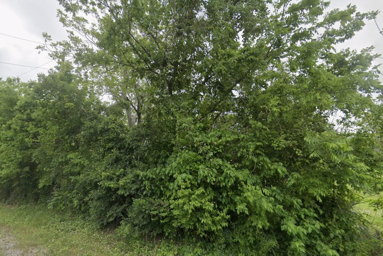 2941 - 13 County Road 352 Road