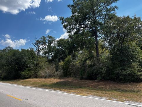 Vacant Land For Sale - 00 Fm 1736 Road<br/> Hempstead, TX 77445