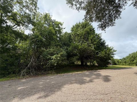 Photo of 0 Timber Cove Lane, Coldspring, TX 77331 (MLS # 51724034)