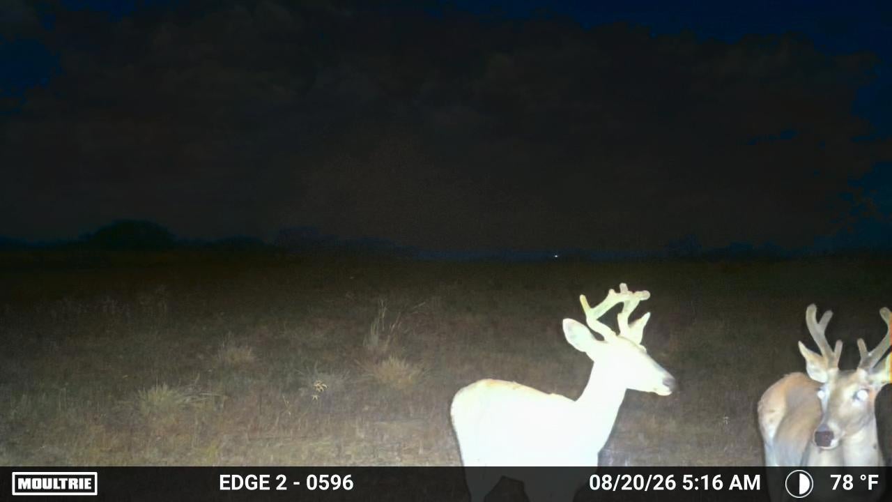 000 S Hwy 281