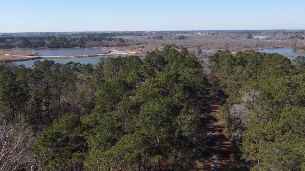 Photo of 0 Silverline Lot 9 Drive, Houston, TX 77338 (MLS # 94515261)