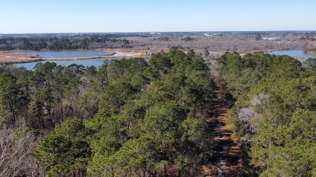 Photo of 0 Silverline Lot 9 Drive, Houston, TX 77338 (MLS # 94515261)