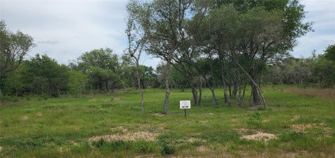 Vacant Land For Sale - TBD Specklebelly Lane Lot 251<br/> Columbus, TX 78934