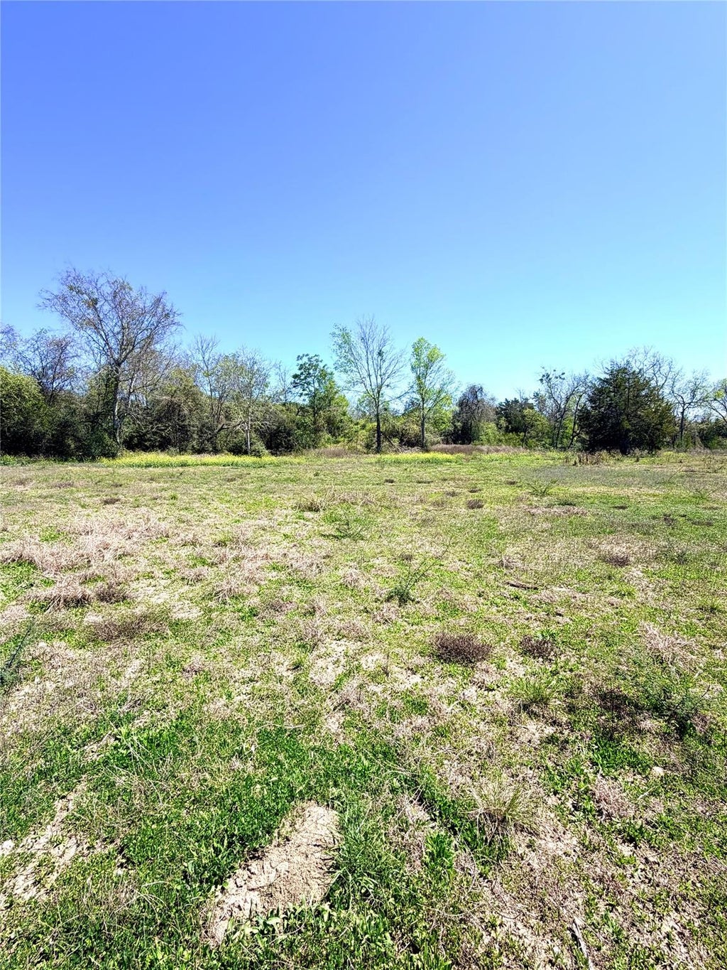 Photo of 35 Winding Branch, Chappell Hill, TX 77426 (MLS # 21276045)