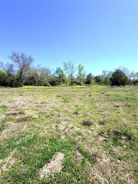 Photo of 35 Winding Branch, Chappell Hill, TX 77426 (MLS # 21276045)
