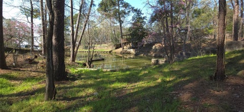 Photo of 0 Big Deer Drive, Houston, TX 77532 (MLS # 23441540)