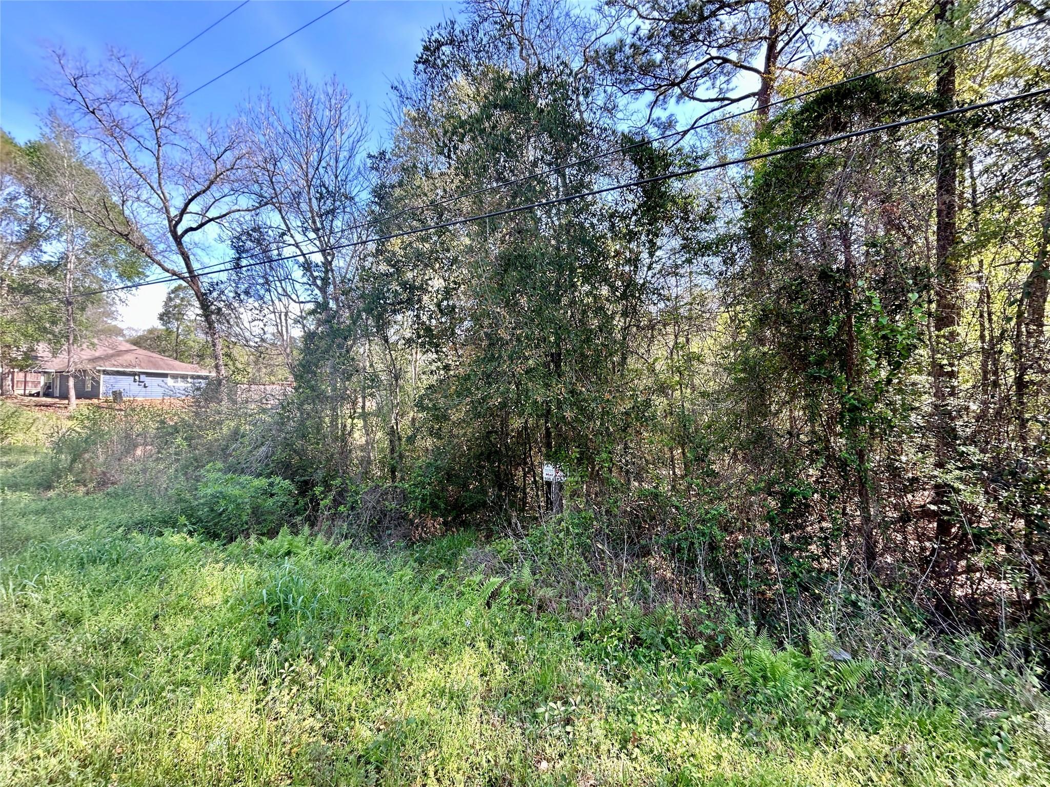 LOT 77-A Royal Lake Drive