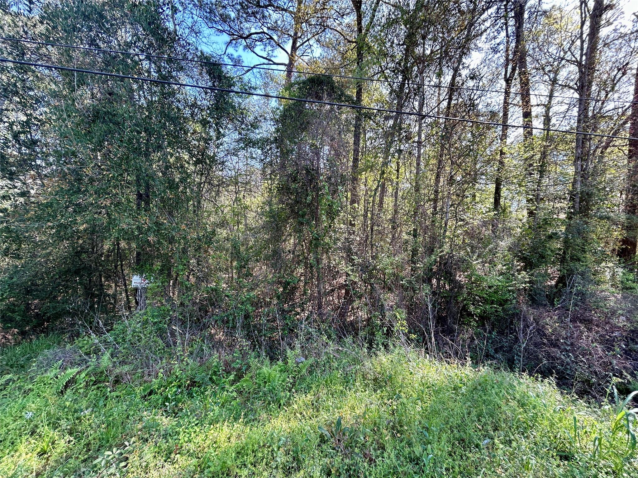LOT 77-A Royal Lake Drive