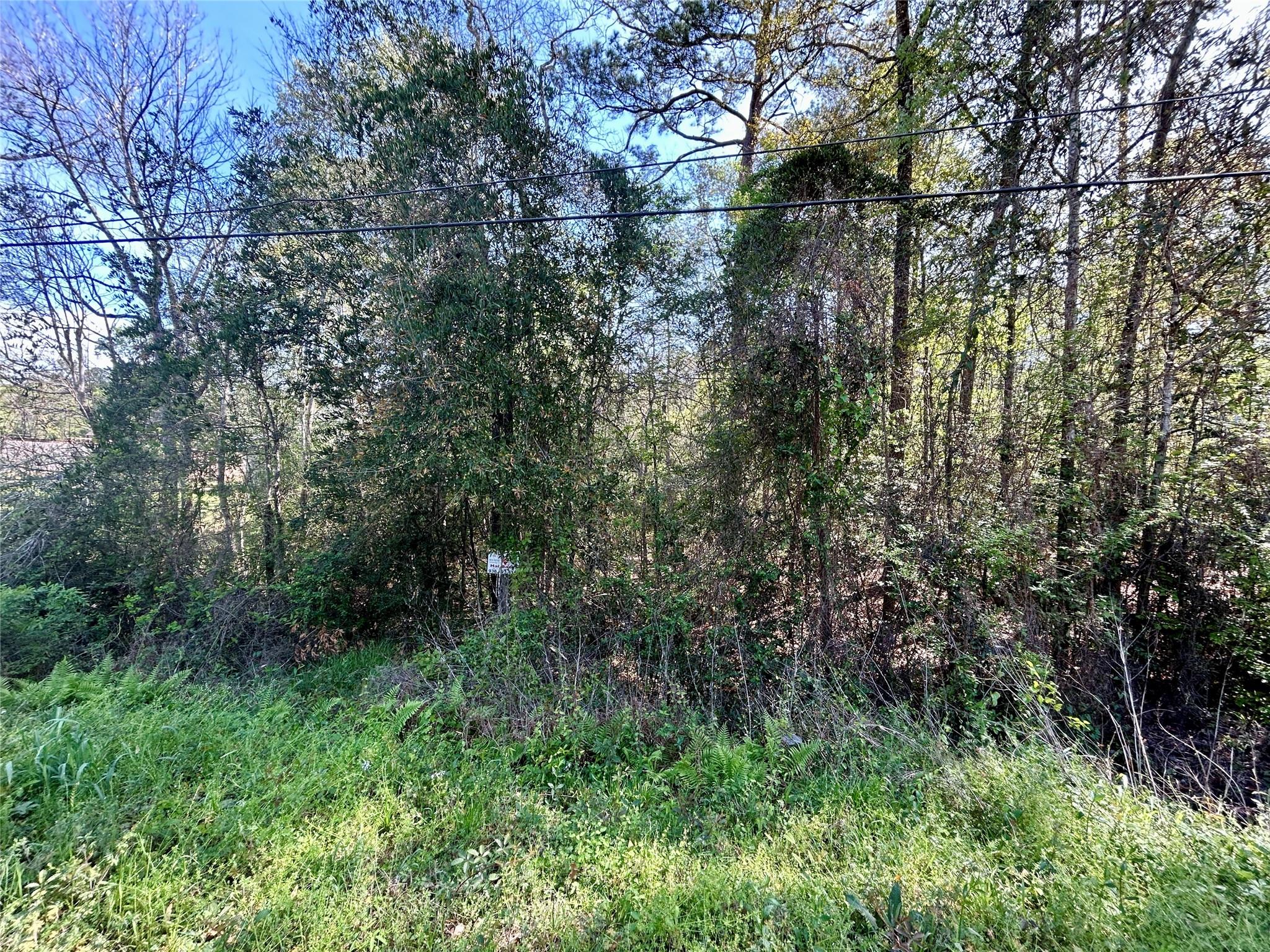 LOT 77-A Royal Lake Drive