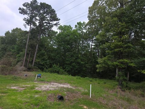 Photo of TBD Hidden Oak Drive, Point Blank, TX 77364 (MLS # 9267962)