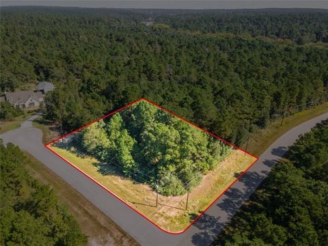 Photo of 5 Feldspar Lane, Huntsville, TX 77340 (MLS # 84931294)