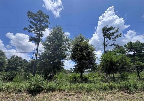Photo of 426 County Road 1420, Warren, TX 77664 (MLS # 33865622)