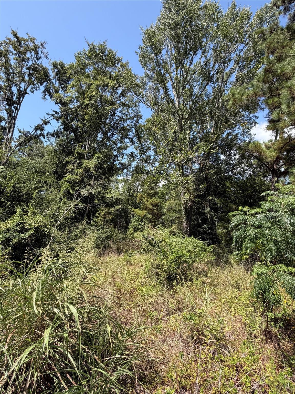 175 Hanson Road