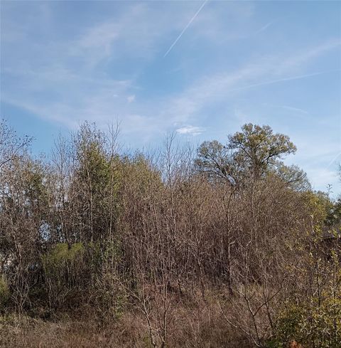 Photo of 425 County Road 5041, Cleveland, TX 77327 (MLS # 63500999)