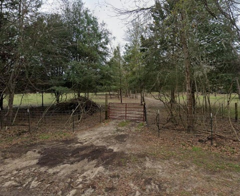 Photo of 1340 County Road 4375, Spurger, TX 77660 (MLS # 9578374)