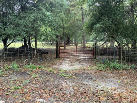 Vacant Land For Sale - 1340 County Road 4375<br/> Spurger, TX 77660