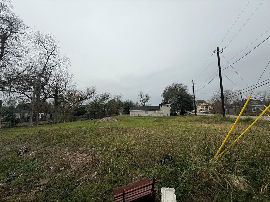 Photo of 2206 Erastus Street, Houston, TX 77020 (MLS # 30644034)