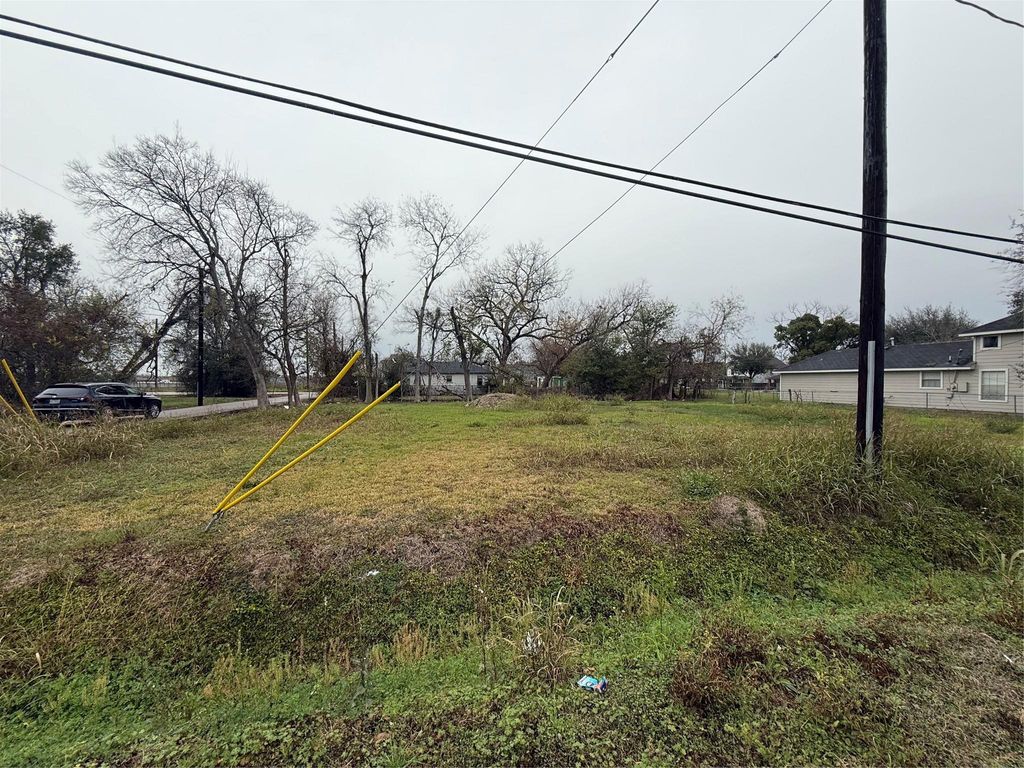 Photo of 2206 Erastus Street, Houston, TX 77020 (MLS # 30644034)