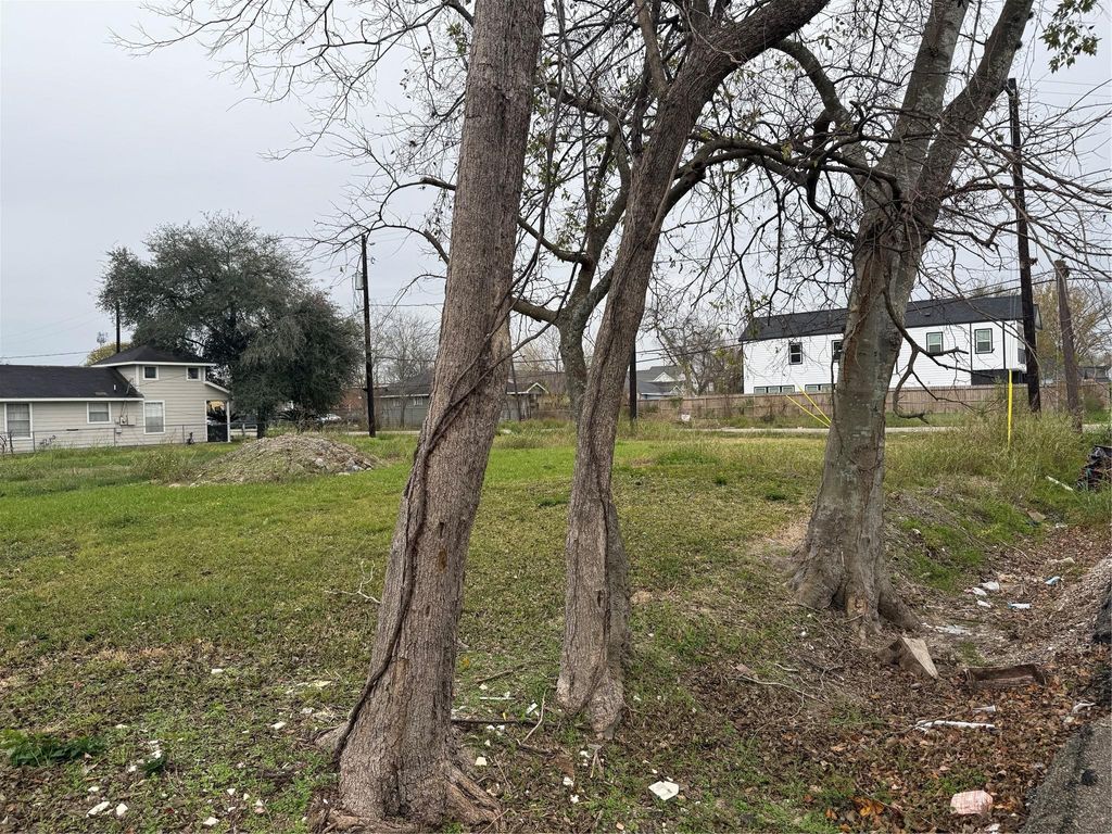 Photo of 2206 Erastus Street, Houston, TX 77020 (MLS # 30644034)