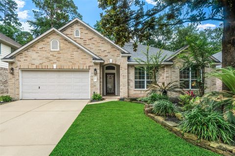 Photo of 30 S Creekmist Place, The Woodlands, TX 77385 (MLS # 52104408)