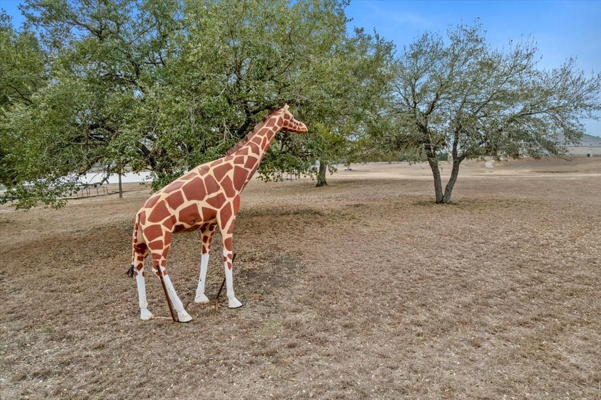 6116 E State Highway 71