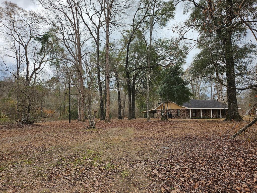 Photo of 22647 Kelly Drive, Saratoga, TX 77585 (MLS # 53555493)