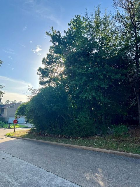 3102 Poe Drive Montgomery TX 77356
